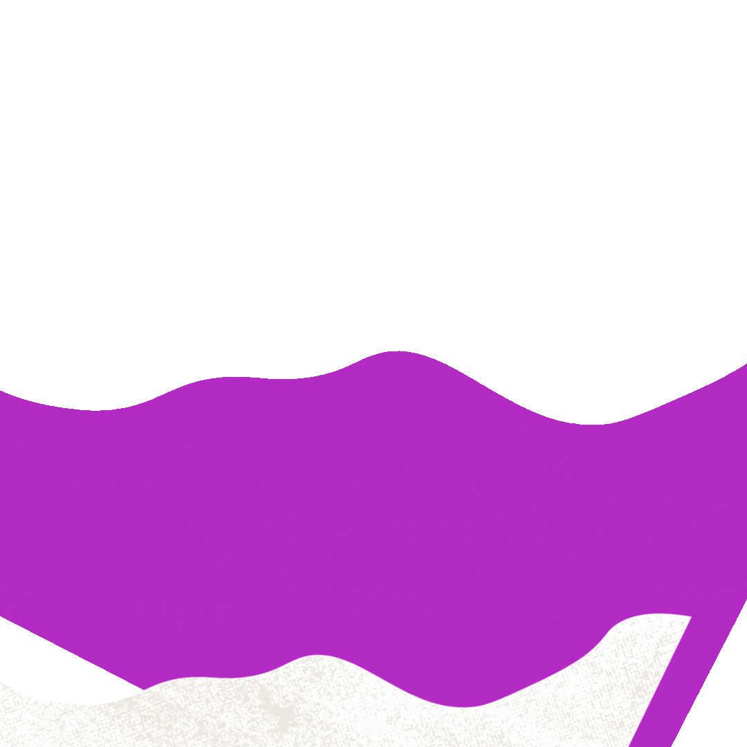 Animação de Turismo